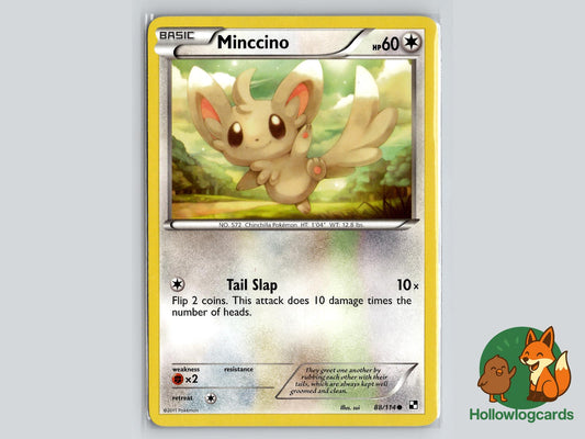 Minccino (88/114) - Black & White Pokémon Card