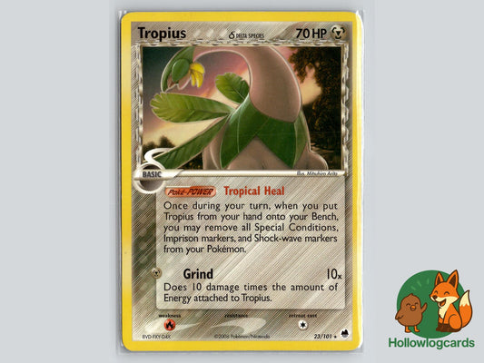 Tropius (23/101) - Dragon Frontiers Pokémon Card