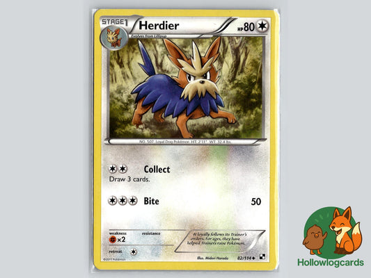 Herdier (82/114) - Black & White Pokémon Card