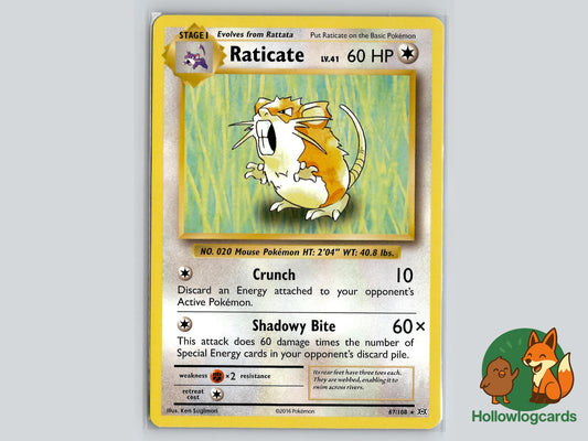 Raticate (67/108) - Evolutions Pokémon Card