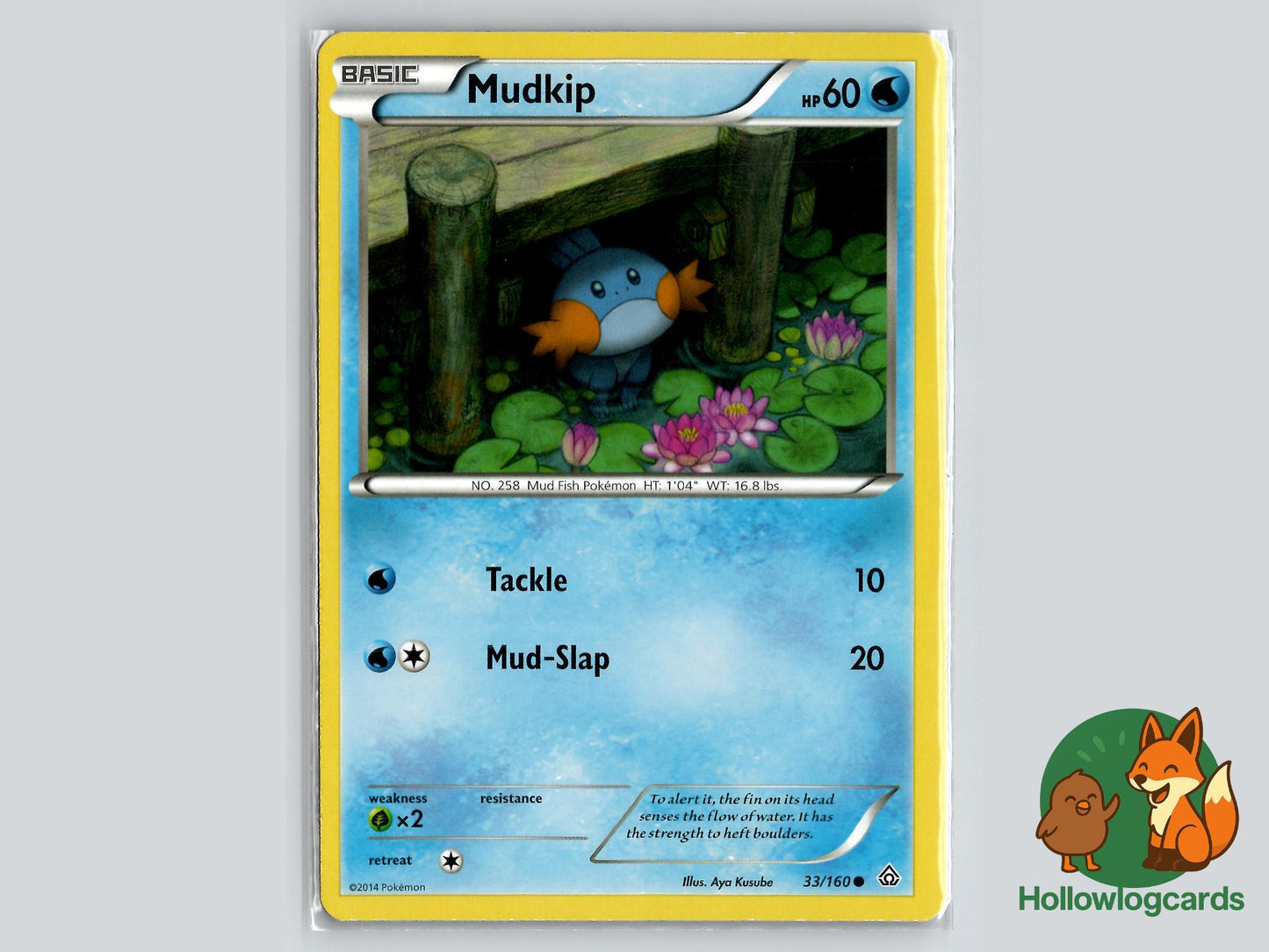 Mudkip (33/160) - Primal Clash Pokémon Card