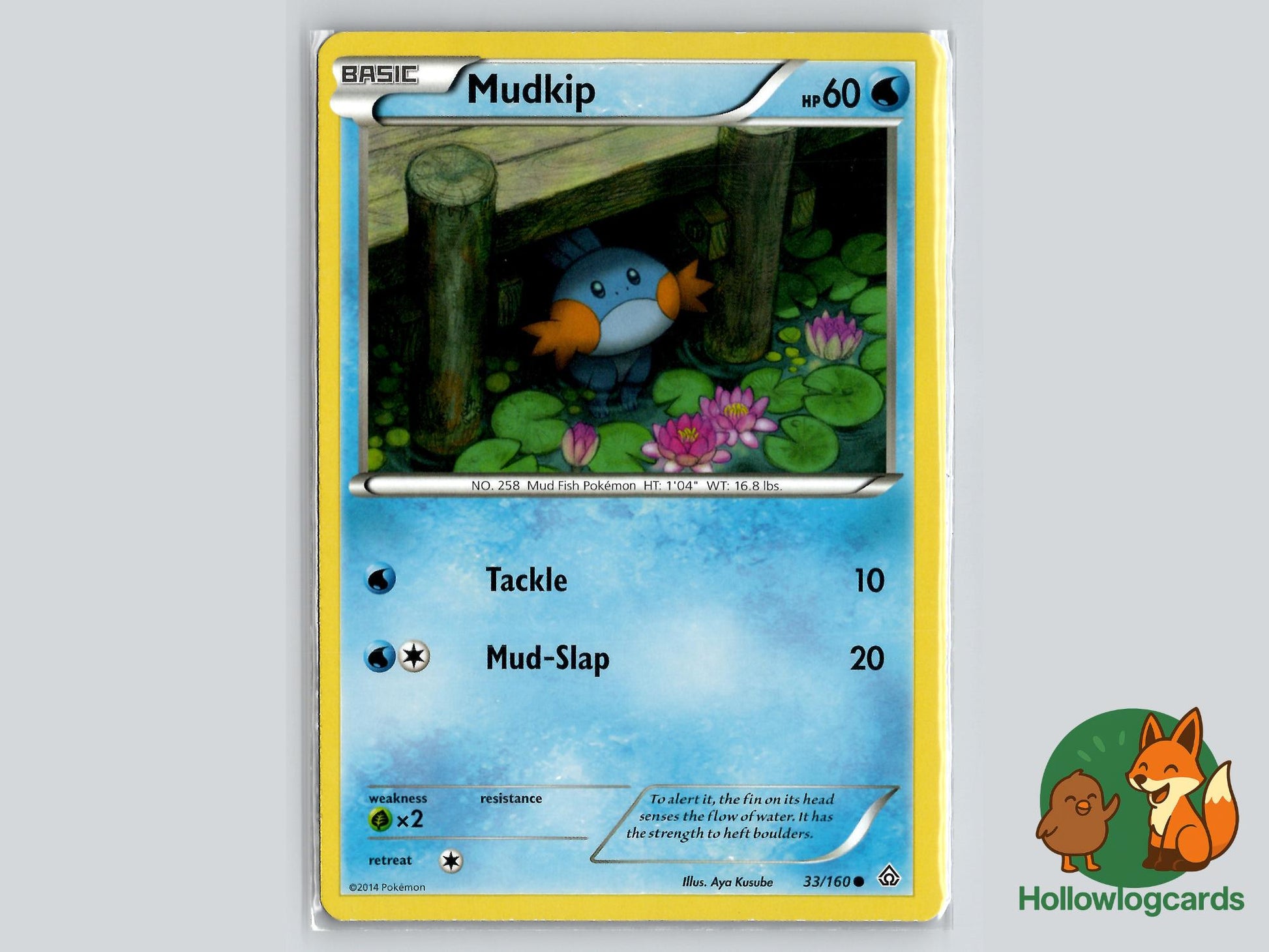Mudkip (33/160) - Primal Clash Pokémon Card