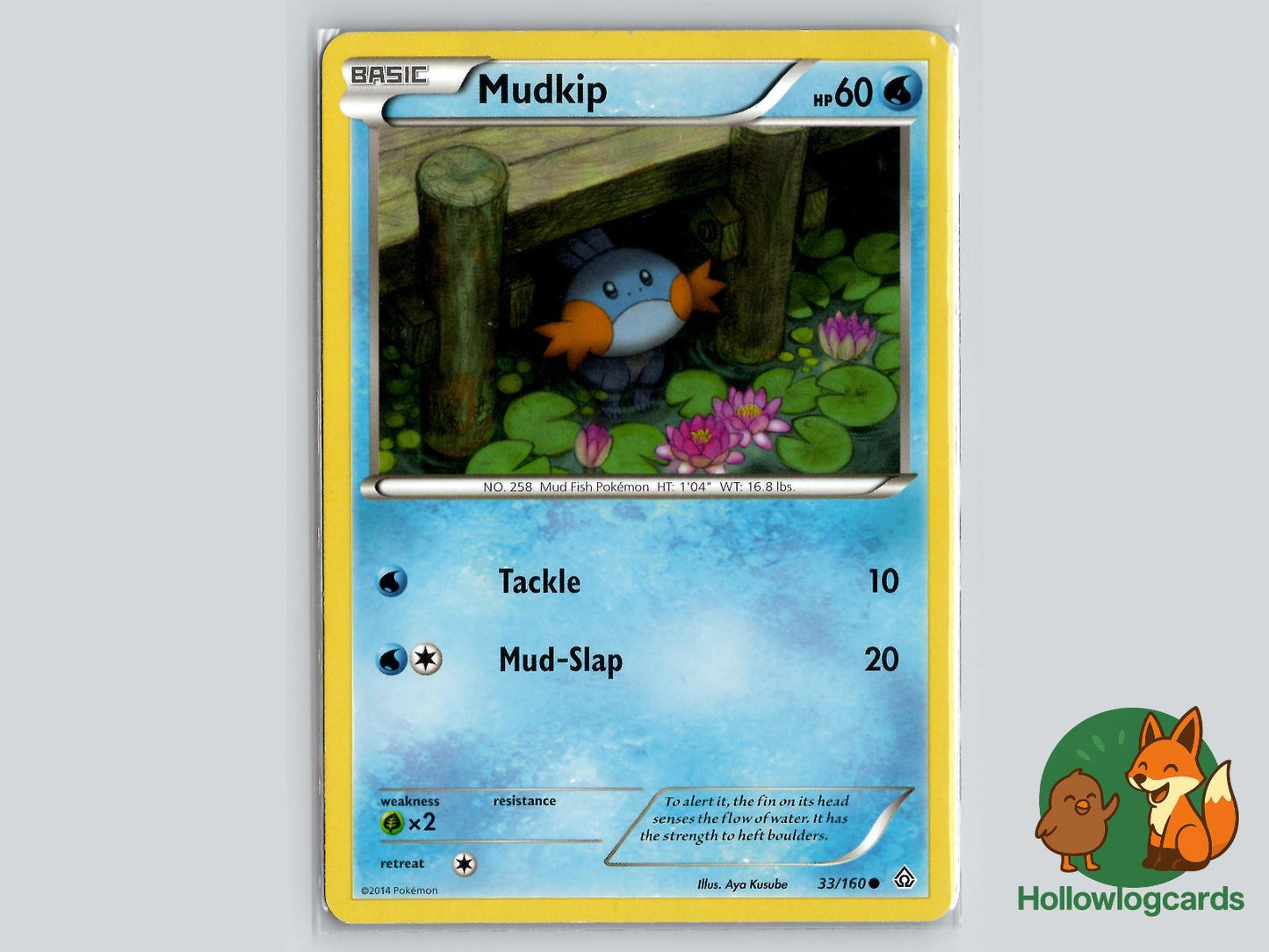 Mudkip (33/160) - Primal Clash Pokémon Card