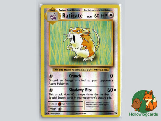 Raticate (67/108) - Evolutions Pokémon Card