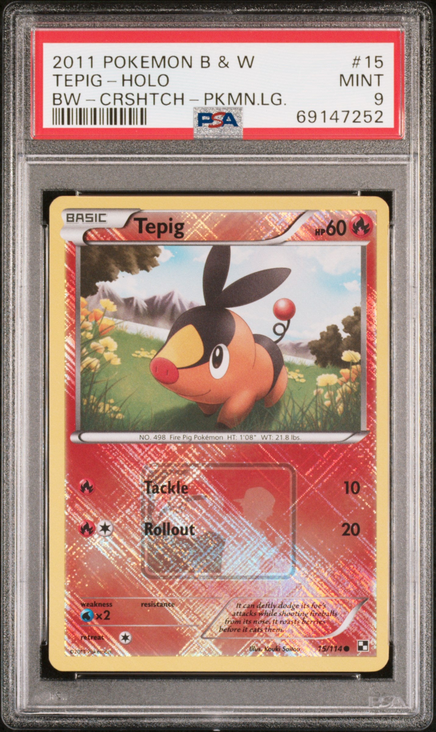 Graded Tepig (15/114) CROSSHATCH - 2011 POKEMON LEAGUE - Black & White - PSA 9