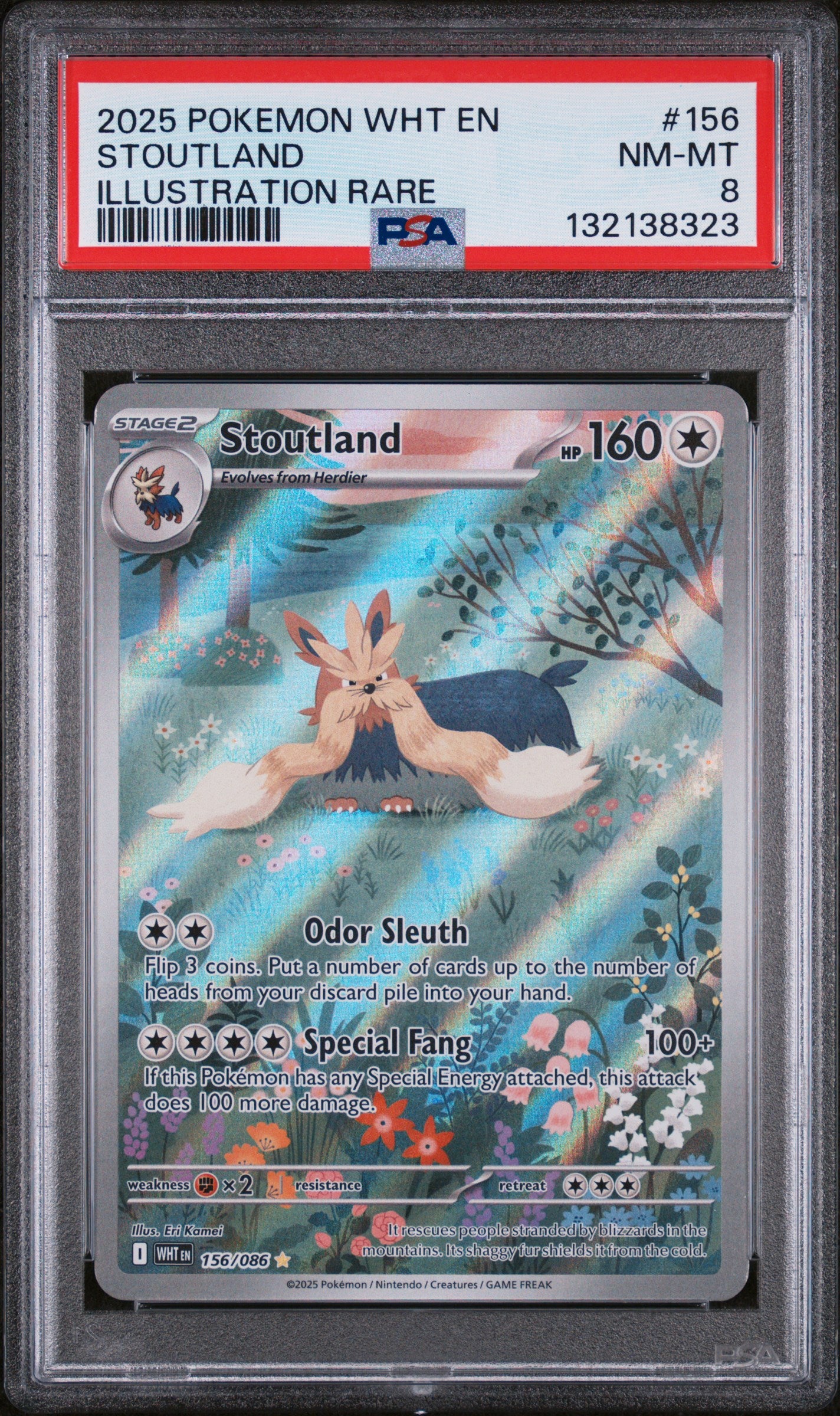 Graded Stoutland (156/086) Wht En - white Flare - PSA 8
